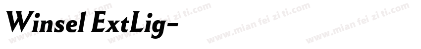 Winsel ExtLig字体转换